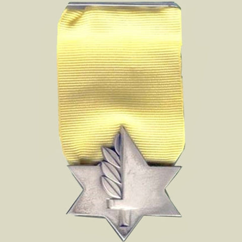 The Medal of Valor