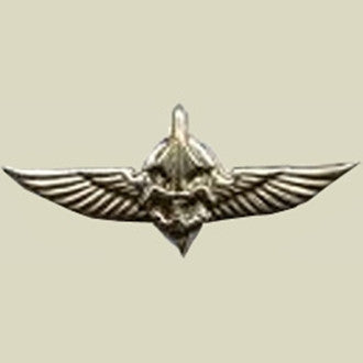 Israel Military Products DUVDEVAN - Army Undercover Special Unit Insignia